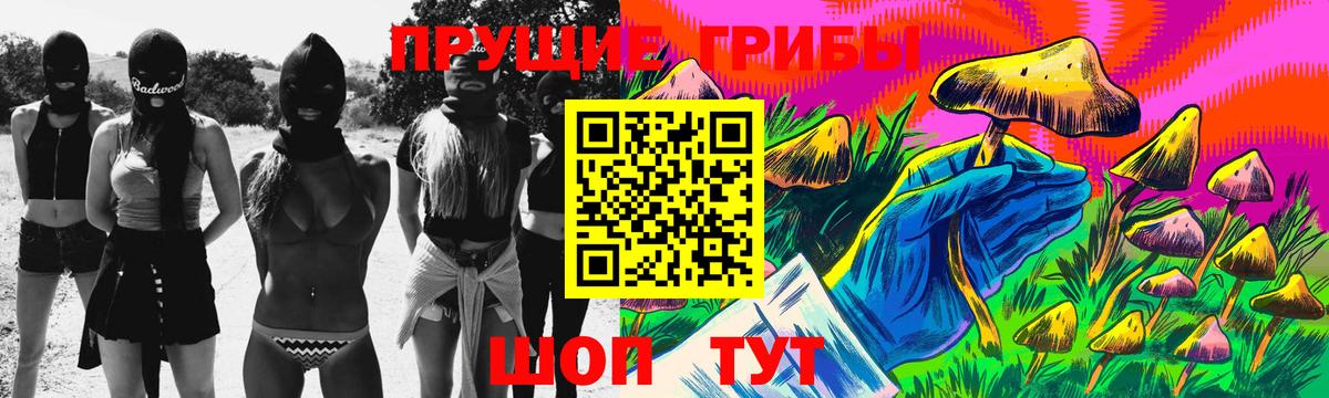 Псилоцибиновые грибы MAGIC MUSHROOMS  Вход с VPN  Звенигород 