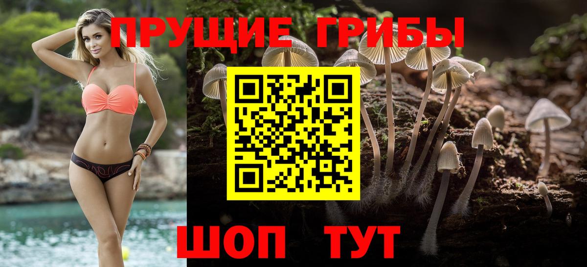 Галлюциногенные грибы Magic Shrooms Звенигород